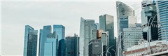 拍卖法关于当事人法律责任的规定有哪些